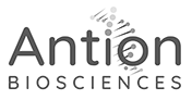 Antion-greyscale-light Antion-greyscale-light