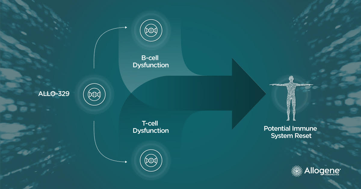 Diagram showing ALLO-329 branching to B-cell Dysfunction and T-cell Dysfunction, they come together to form a potential immune system reset.